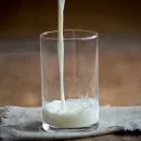 Региональное отделение Национального союза производителей молока откроется в Якутии — Артем Белов