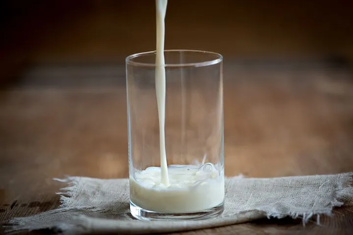 Региональное отделение Национального союза производителей молока откроется в Якутии — Артем Белов 