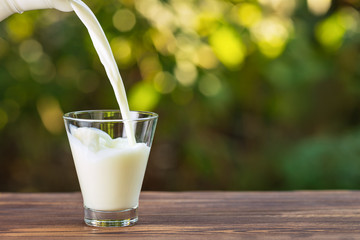 Минсельхоз: Более 25 тысяч тонн молока заготовили в Якутии на 21 июля 